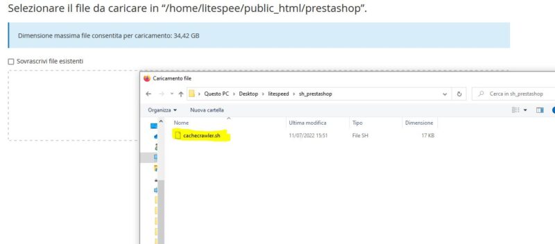Hosting PrestaShop con LiteSpeed: Installare il plugin e configurare il crawler