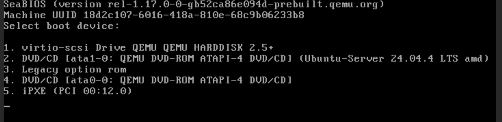 Come installare e configurare il sistema operativo su un VPS non gestito