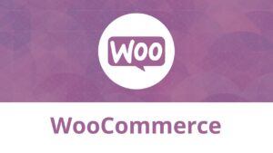 Le piattaforme e-commerce: Scegliere la piattaforma giusta Le piattaforme e-commerce: Scegliere la piattaforma giusta