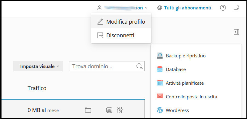 Plesk di VHosting: La guida completa Plesk di VHosting: La guida completa
