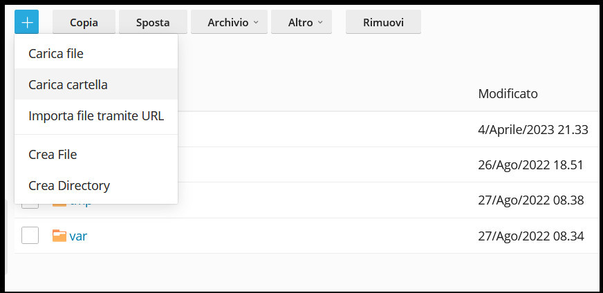 Plesk di VHosting: La guida completa Plesk di VHosting: La guida completa