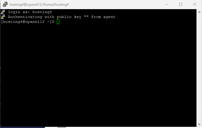 SSH: connettersi ai server in modo sicuro SSH: connettersi ai server in modo sicuro