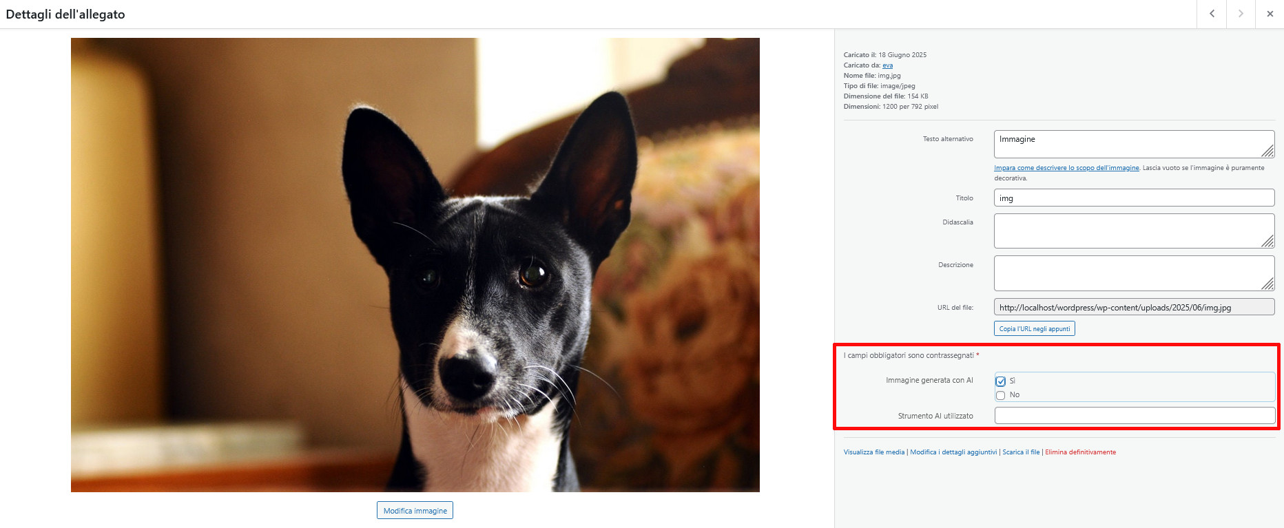 Come usare ACF (Advanced Custom Fields) in WordPress Come usare ACF (Advanced Custom Fields) in WordPress